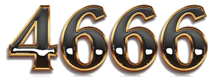 46666 logo